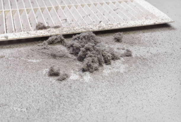 Best Duct Cleaning for Homes  in Rosemont, IL